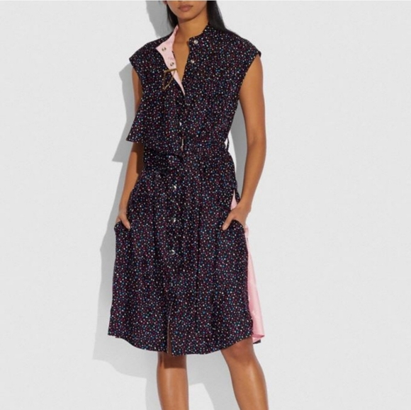 Coach Dresses & Skirts - Coach NWT Dot Silk Sleeveless Dress with Belt Size 2 MSRP $595
